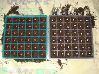 DSC01097.JPG