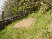 DSC01101.JPG