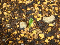 DSC01105.JPG