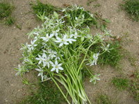 DSC01122.JPG