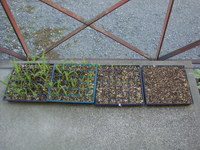DSC01187.JPG