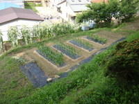 東の上段DSC00533.JPG