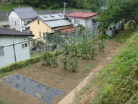 東下.JPG