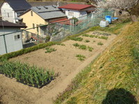 東下.JPG